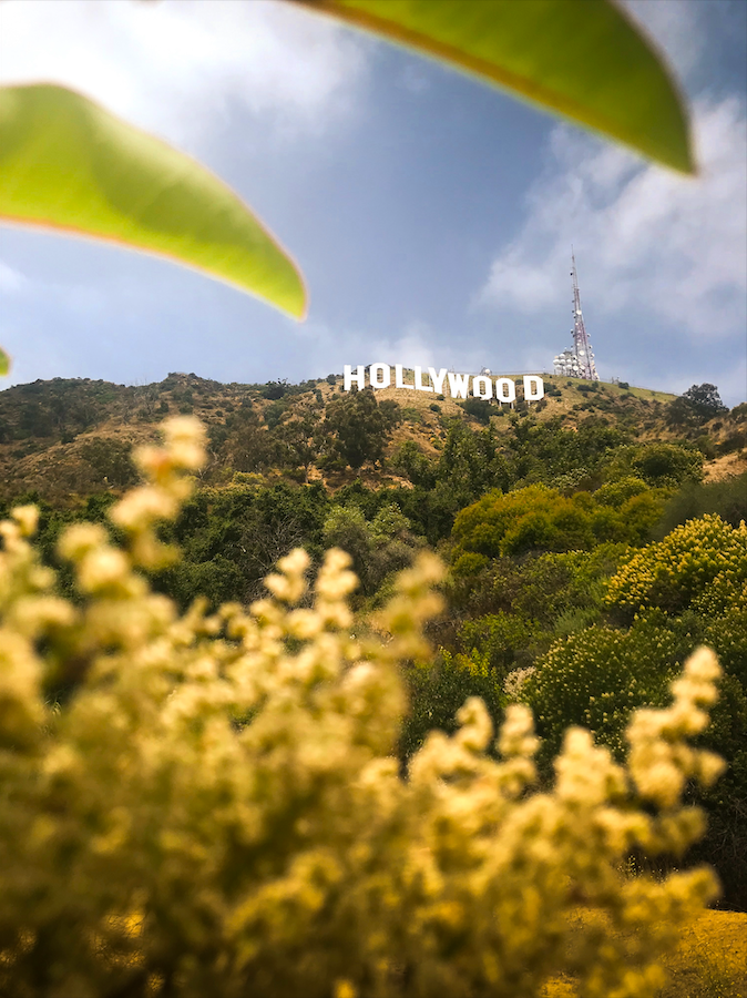 Travel Tips from Locals in Your Fave Cities: Los Angeles Travel Tips from Locals in Your Fave Cities: Los Angeles