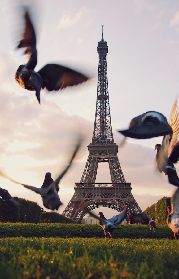Travel Tips from Locals in Your Fave Cities: Paris